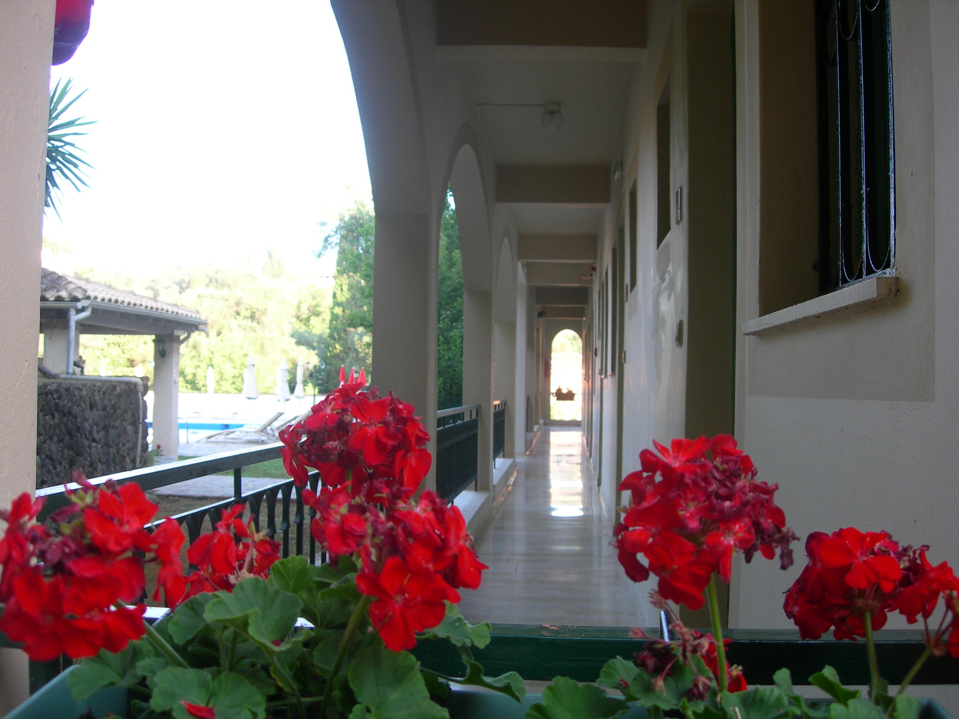 Villa Karmar Hotel Apartments Dassiá Eksteriør bilde